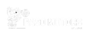 Paso Motors