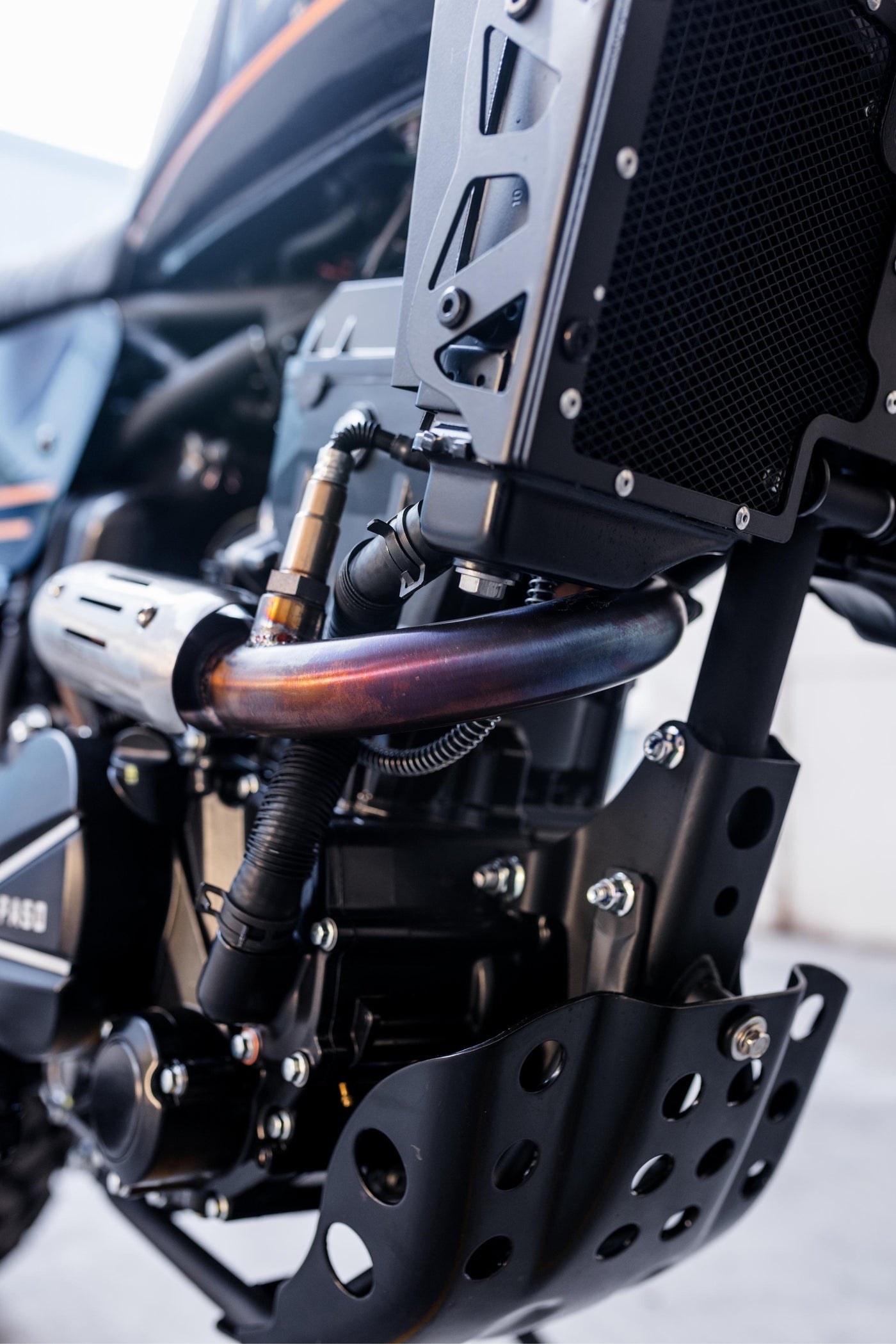 Paso XF300 Original Gold