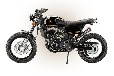 Paso XF300 Black Gloss Gold Trim